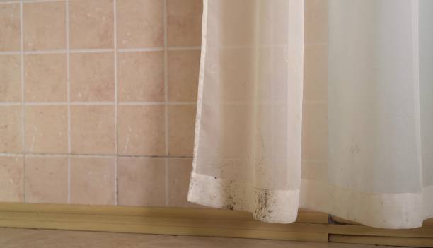 Best Residential Mold Inspection & Testing  in White Island Shores, MA