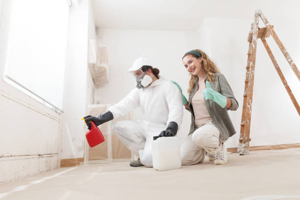 Best Mold Odor Removal Services  in White Island Shores, MA