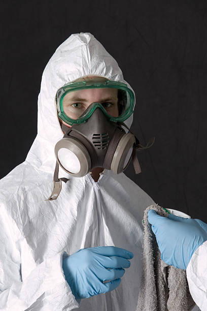 Best Industrial Mold Remediation  in White Island Shores, MA